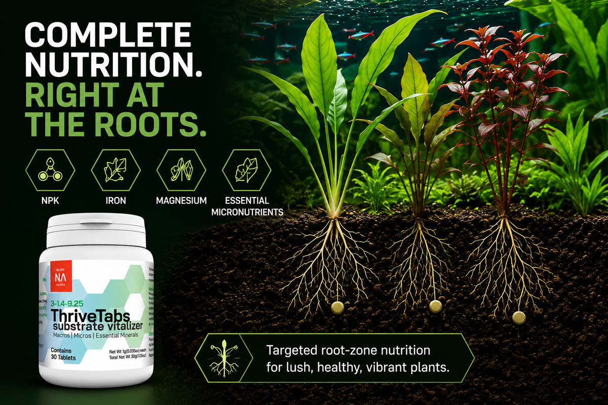 ThriveTabs Aquarium Plant Root Tabs