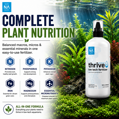 ThriveC 500mL – New Customer Offer
