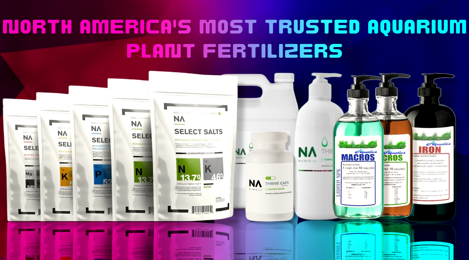 North America s Most Trusted Aquarium Store NilocG Aquatics Inc