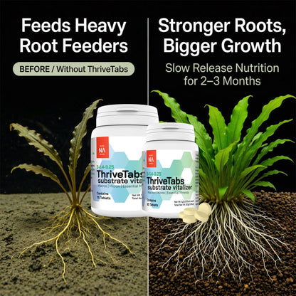 NA ThriveTabs Aquarium Plant Root Tabs - Free Shipping!!!!