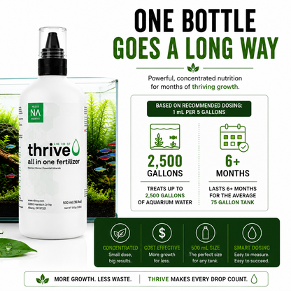 Thrive 500mL – New Customer Offer