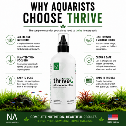 Thrive 500mL – New Customer Offer